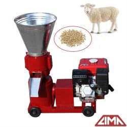 Tips to feed sheep and daily food and management