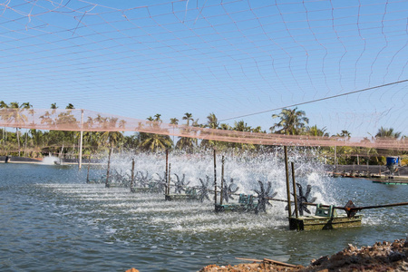 How do aquaculture farmers choose aquafeed scientifically?