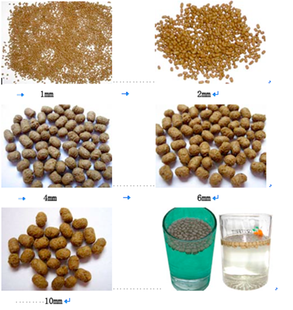 fish feed pellet