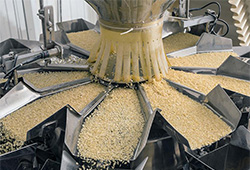 Contamination causes of drugs in feed processing