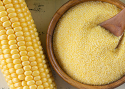 Effects of structure and processing of cornstarch on digestibility