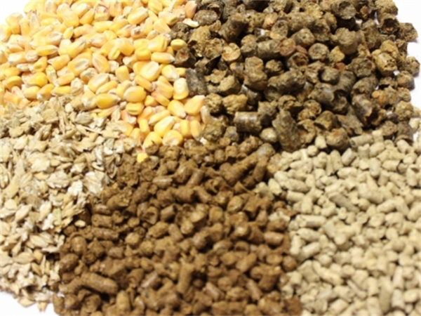 Pellet feed PK extruded feed