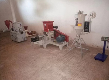 Personal use homemade fish feed production line in Nigeria