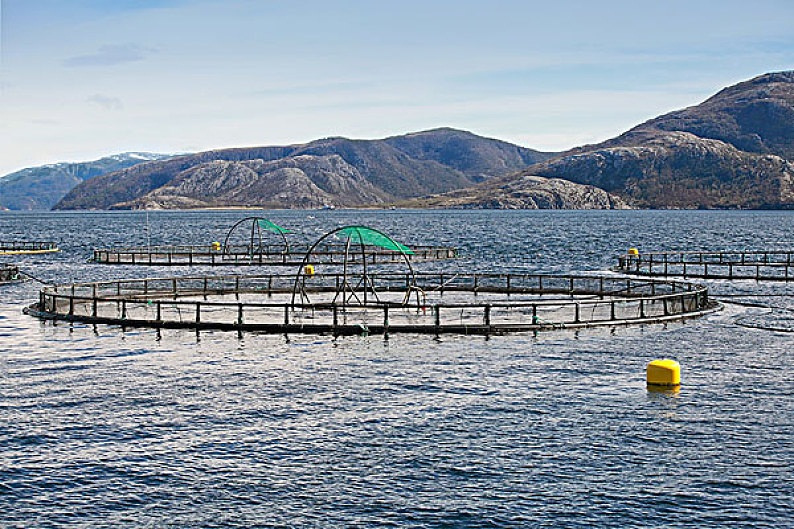Fish farming in the USA 
