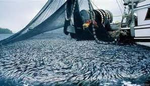 Future sustainable fisheries management development