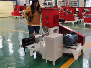 2021 feed extruder floating fish factory price extrudeuse pour aliment poisson animal feed production line for sale