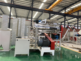 China factory price Automatic floating fish feed pellet making machine