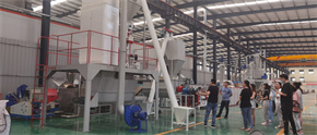 Factory price chicken pig fish feed pellet making machine plant poultry feed production line