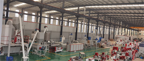 Feed Pellets Machine Production Line Full Automatic Twin Screw Extruder Pet Food Processing Animal Cat India Fish