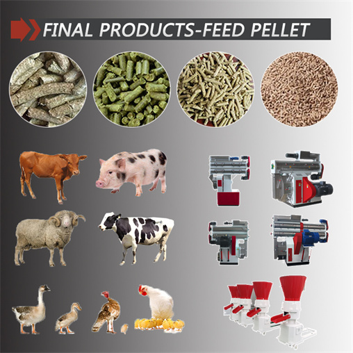 400-600kg/h small scale animal feed mixer pellet production line