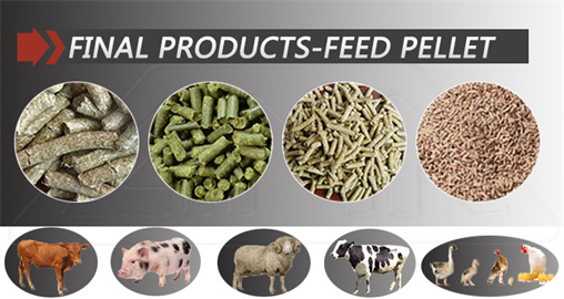 14-18t/h poultry animal ring die feed pellet machines for sale
