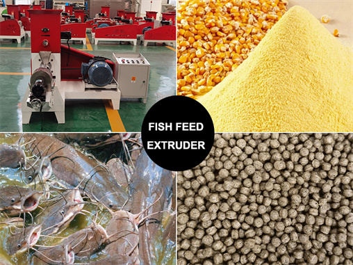 Fish feed extruder machine for sale in China