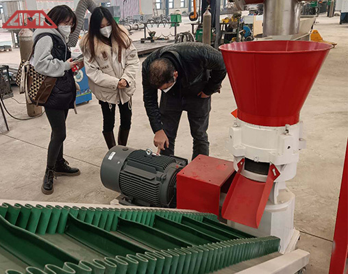 Baby chicken feed pellet machine