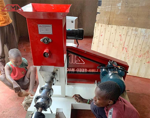fish feed machine for sale